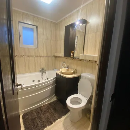 Liza Apartament Kluż-Napoka